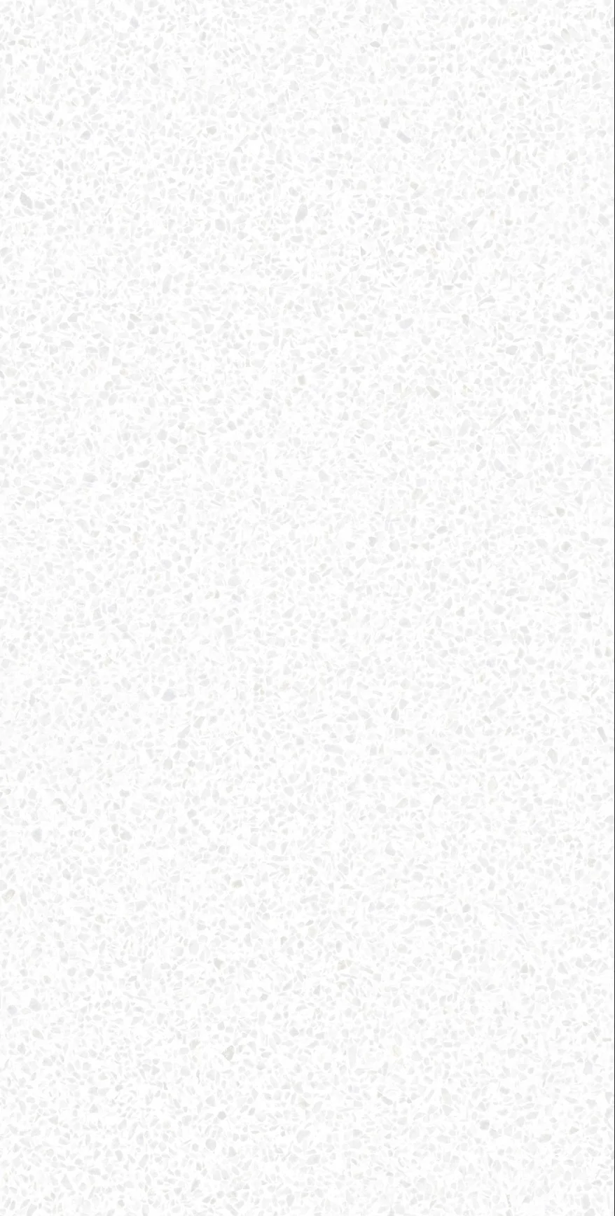 Calypso White F P 600x1200x8 R Satin 1