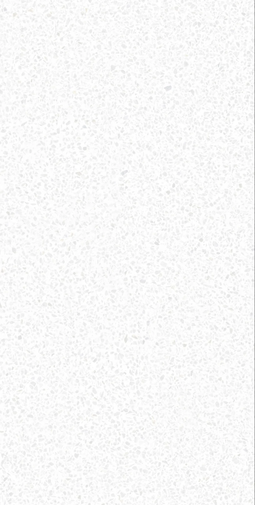 Calypso White F P 600x1200x8 R Satin 1