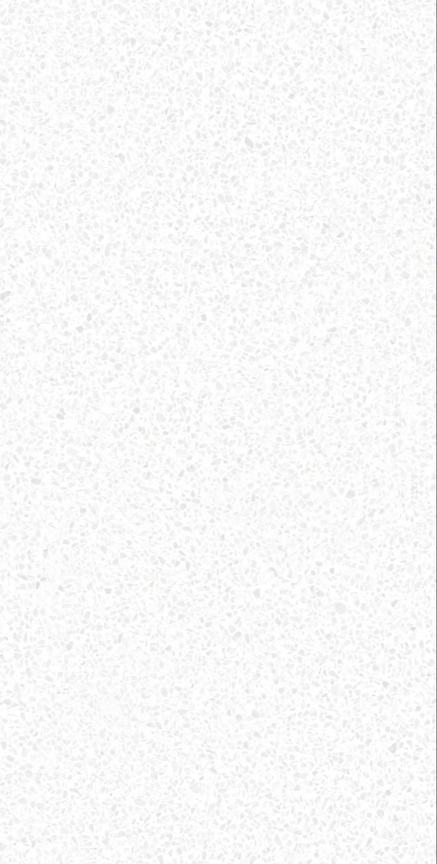 Calypso White F P 600x1200x8 R Satin 1