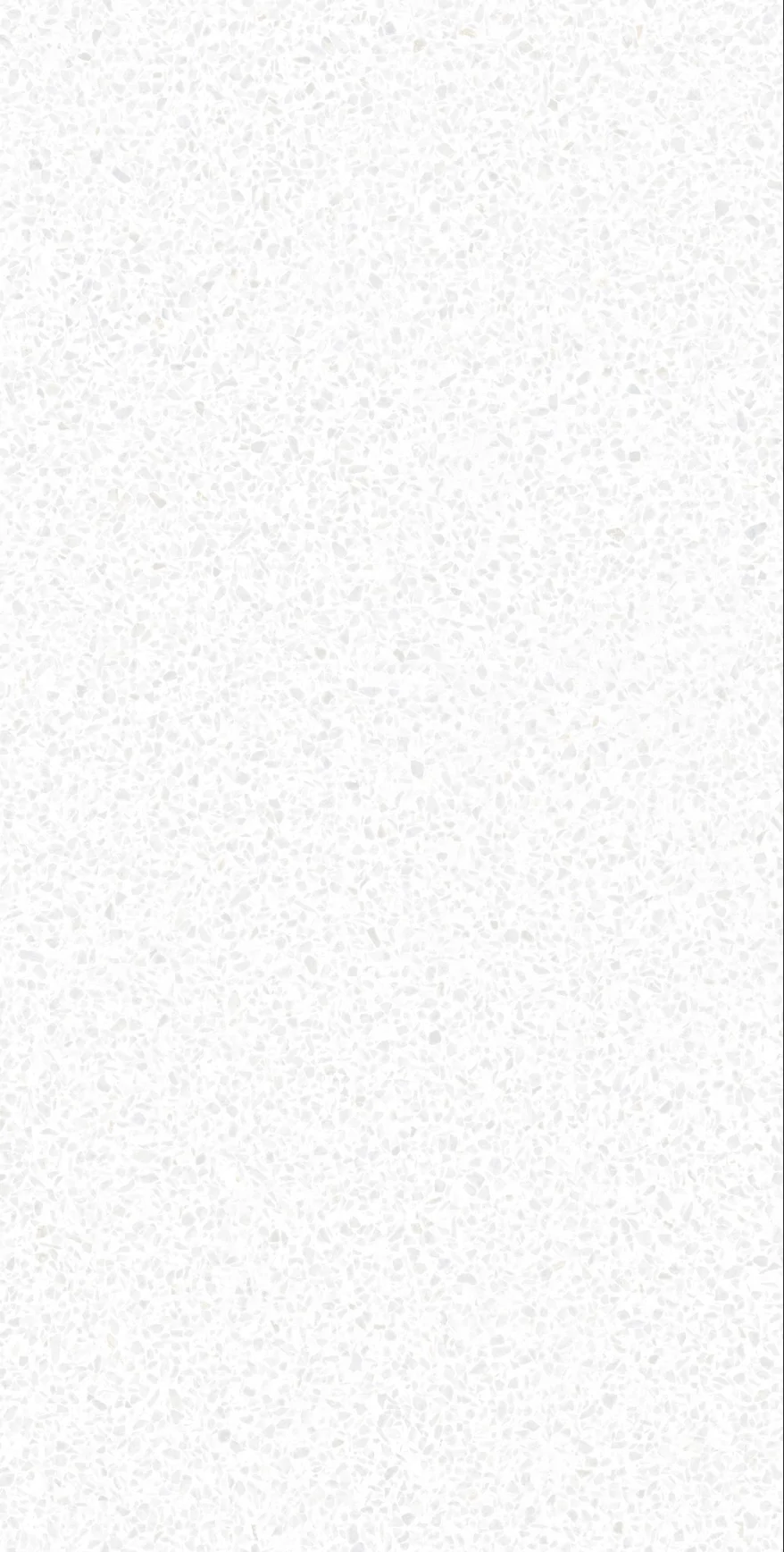 Calypso White F P 600x1200x8 R Satin 1