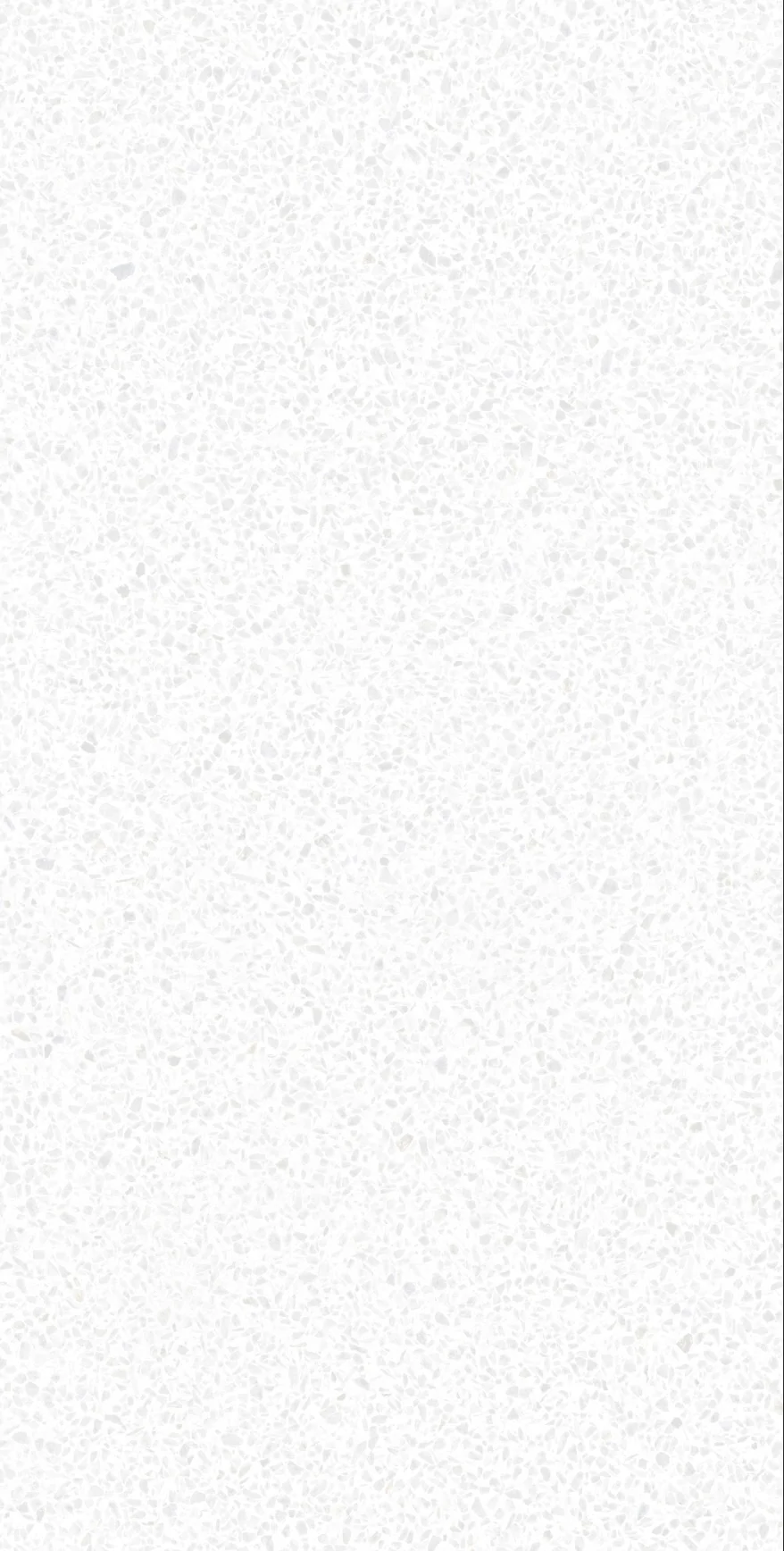 Calypso White F P 600x1200x8 R Satin 1