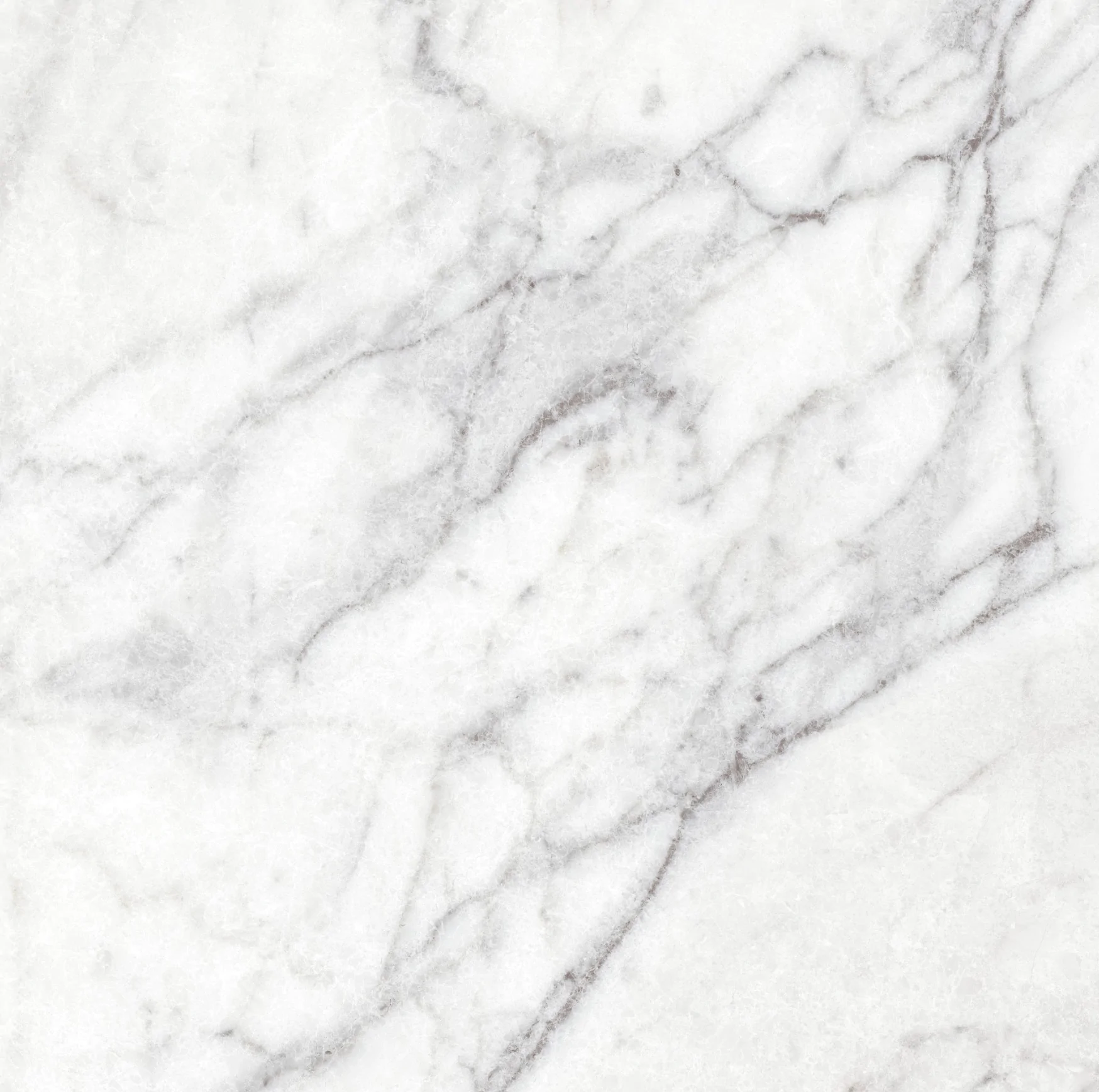 Carma White F P 600x600x8 R Sumat 1