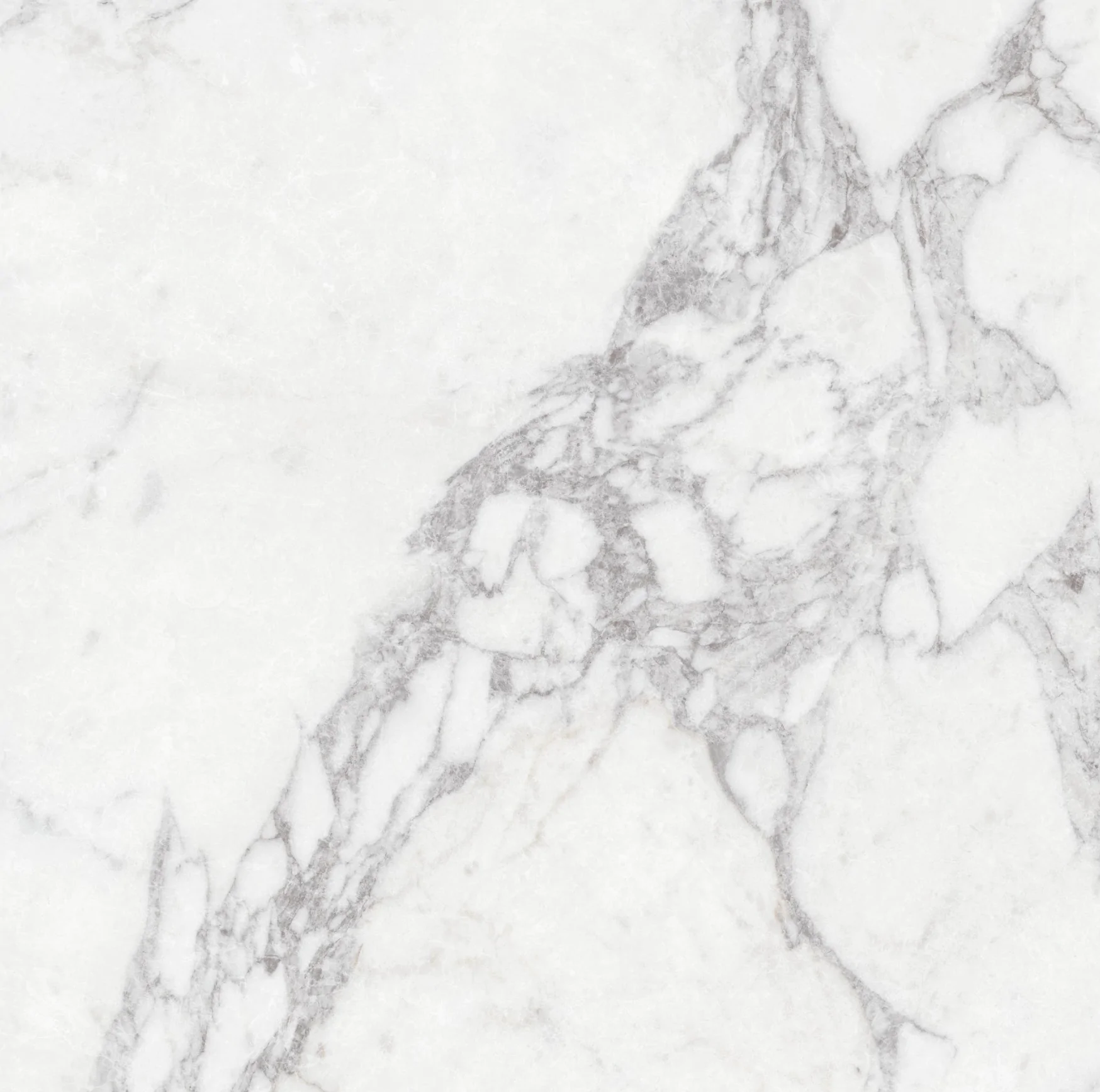 Carma White F P 600x600x8 R Sumat 1