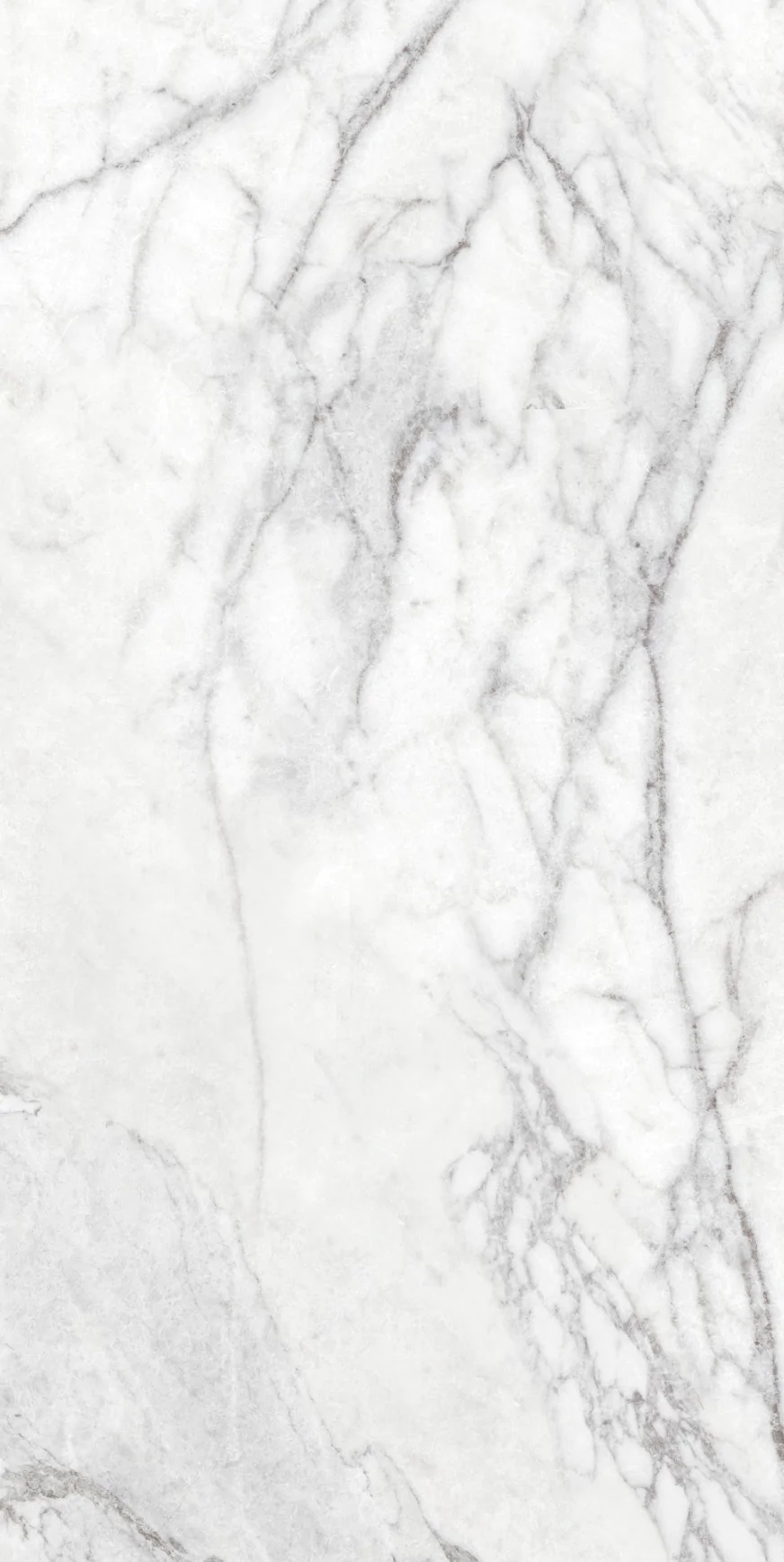 Carma White F P 600x1200x8 R Sumat 1
