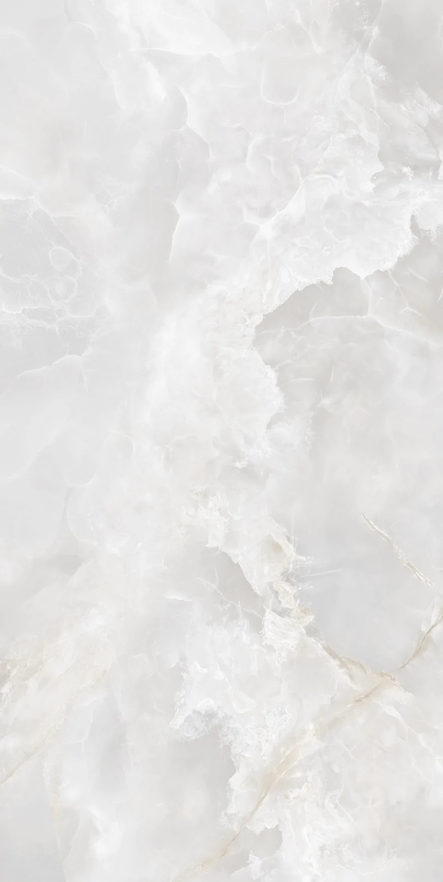 Charisma White F P 600x1200x8 R Somat 1