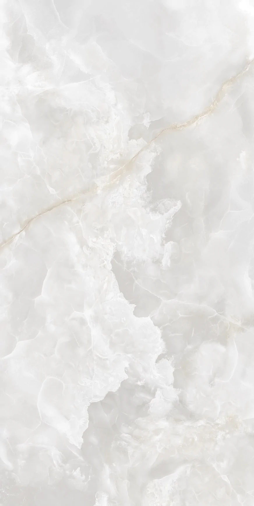 Charisma White F P 600x1200x8 R Somat 1